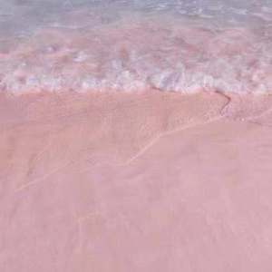 娇妻屁股眼被别人开发
