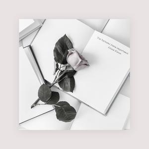 娇妻屁股眼被别人开发
